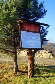 Rezerwat przyrody Cisy w Serednicy